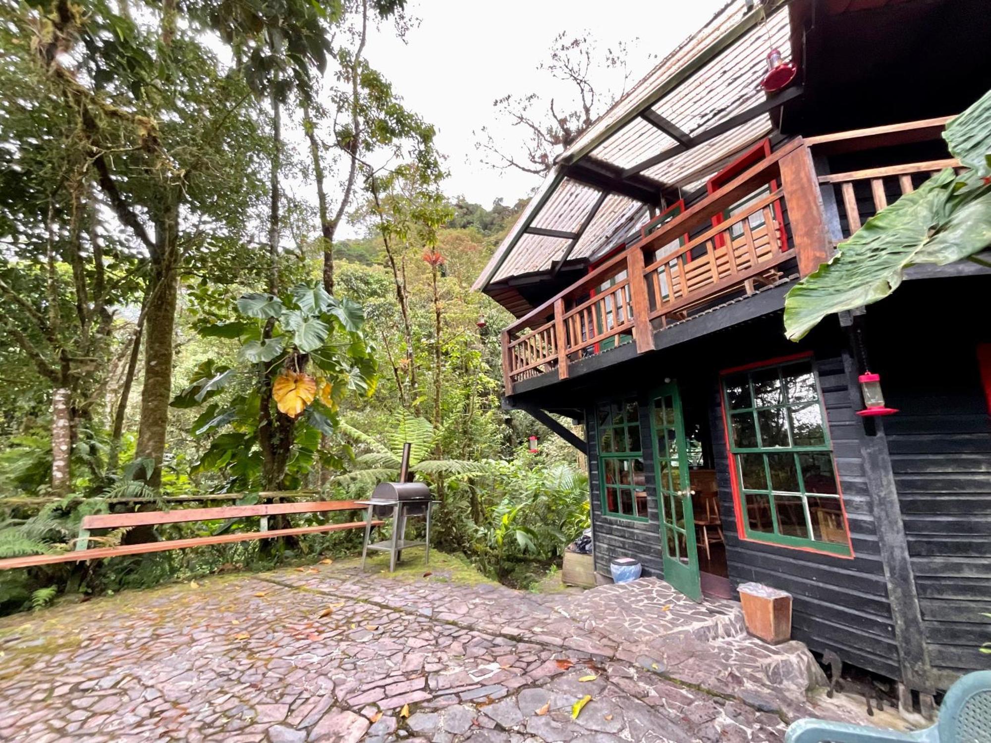 Los Quetzales Ecolodge & Spa Cerro Punta Exterior photo