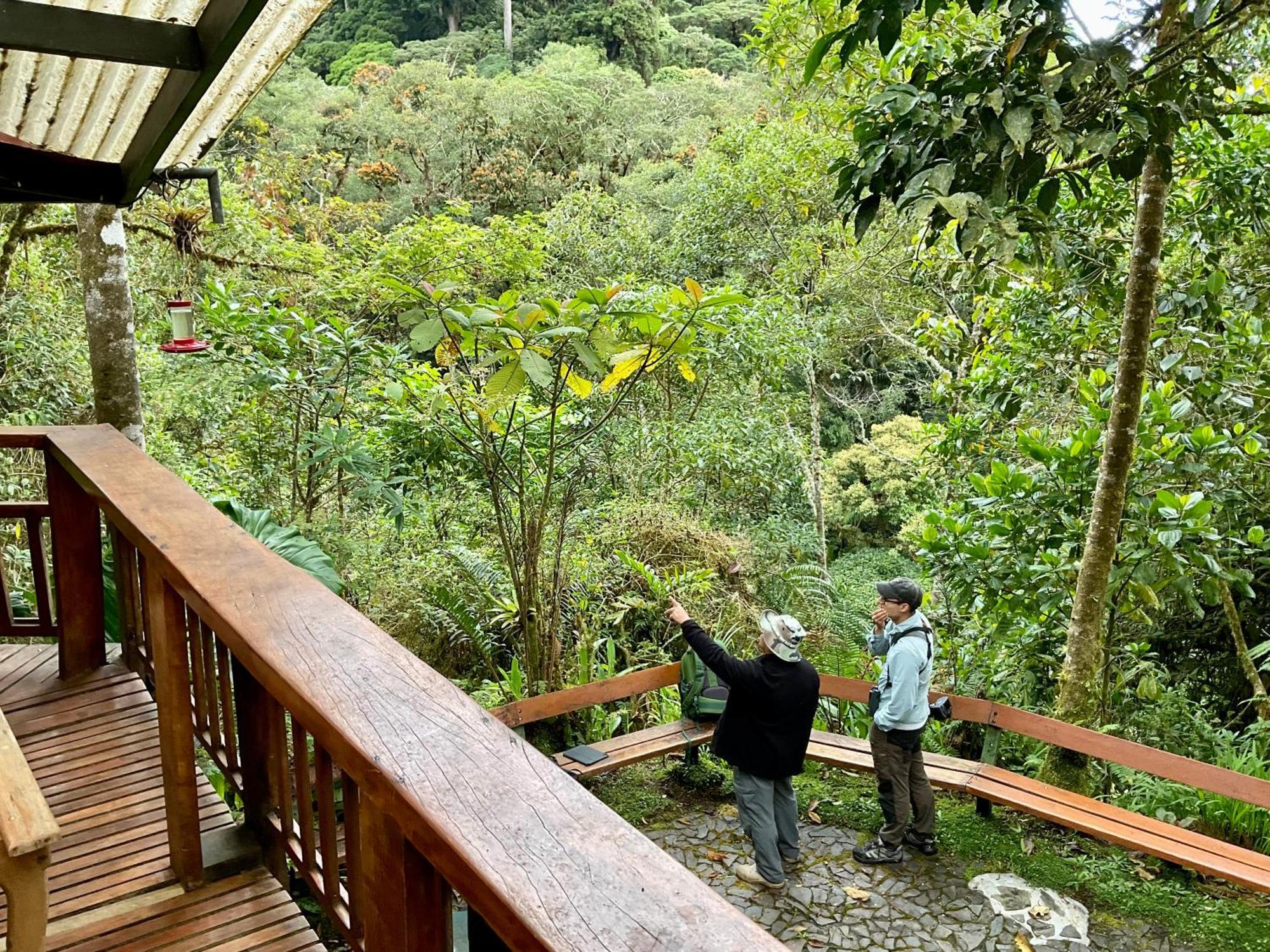 Los Quetzales Ecolodge & Spa Cerro Punta Exterior photo