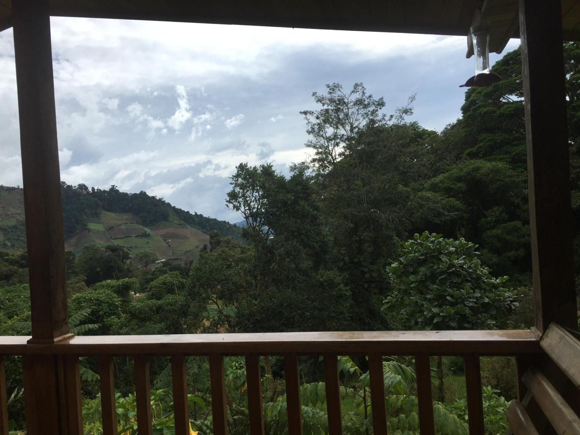 Los Quetzales Ecolodge & Spa Cerro Punta Exterior photo