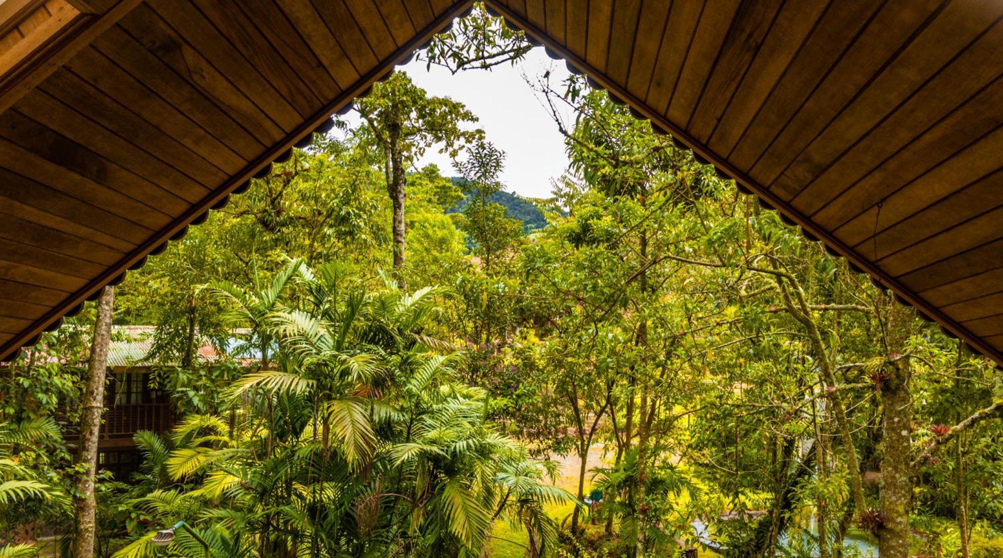 Los Quetzales Ecolodge & Spa Cerro Punta Exterior photo