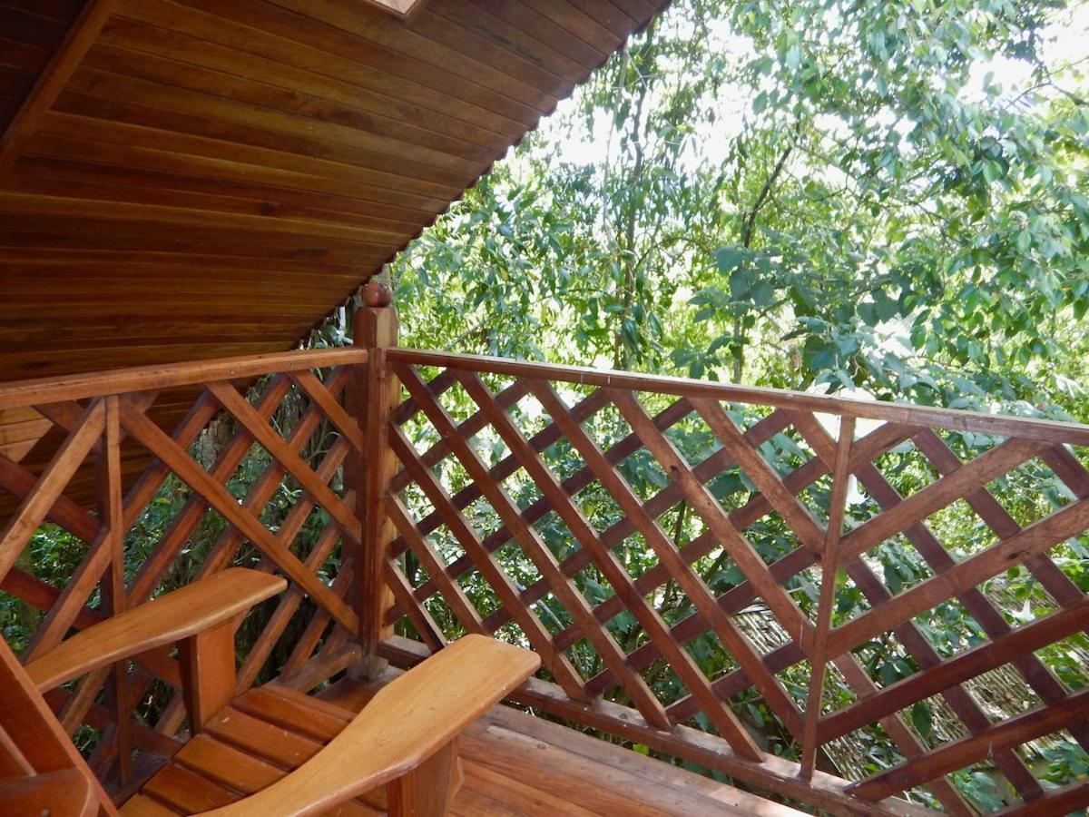 Los Quetzales Ecolodge & Spa Cerro Punta Exterior photo